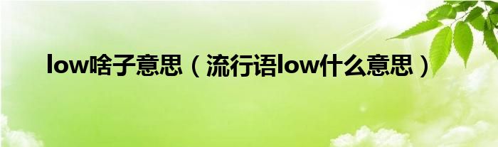 low啥子意思（流行语low什么意思）