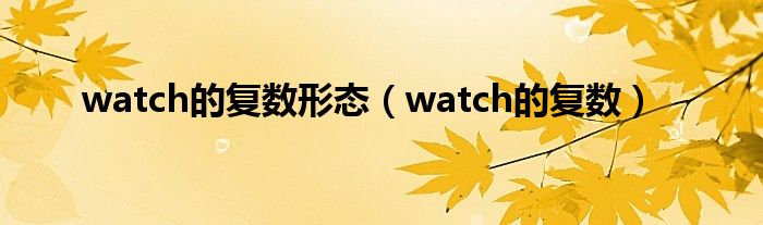 watch的复数形态（watch的复数）