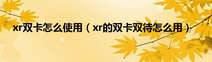 xr双卡怎么使用（xr的双卡双待怎么用）