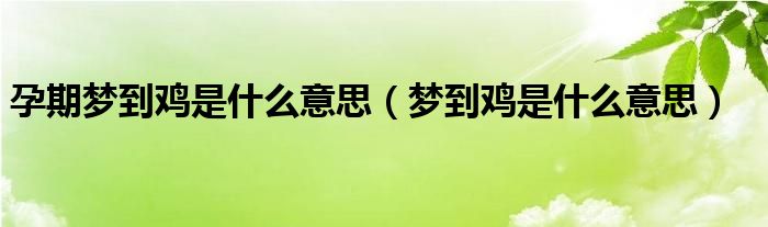 孕期梦到鸡是什么意思（梦到鸡是什么意思）