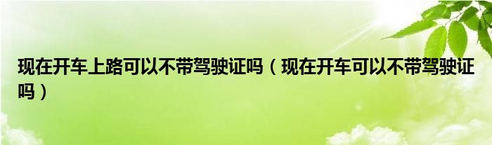 现在开车上路可以不带驾驶证吗（现在开车可以不带驾驶证吗）