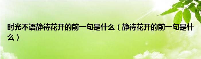 时光不语静待花开的前一句是什么（静待花开的前一句是什么）