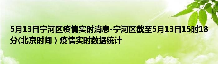 5月13日宁河区疫情实时消息-宁河区截至5月13日15时18分(北京时间）疫情实时数据统计