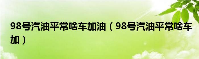 98号汽油平常啥车加油（98号汽油平常啥车加）