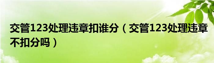 交管123处理违章扣谁分（交管123处理违章不扣分吗）