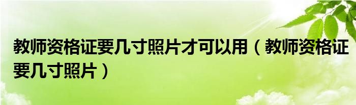 教师资格证要几寸照片才可以用（教师资格证要几寸照片）