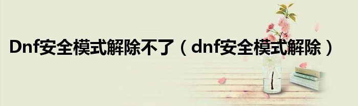 Dnf安全模式解除不了（dnf安全模式解除）