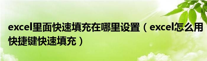 excel里面快速填充在哪里设置（excel怎么用快捷键快速填充）