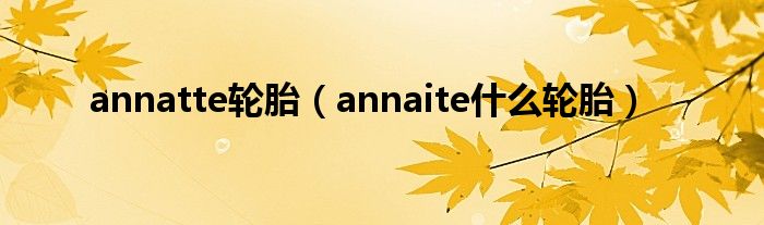 annatte轮胎（annaite什么轮胎）