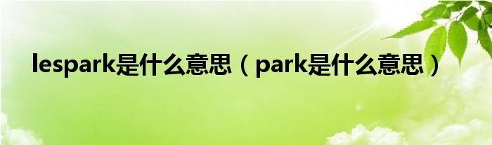 lespark是什么意思（park是什么意思）