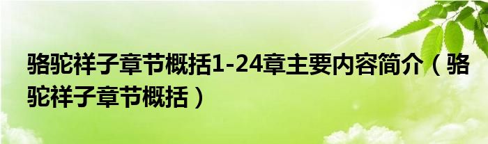 骆驼祥子章节概括1-24章主要内容简介（骆驼祥子章节概括）