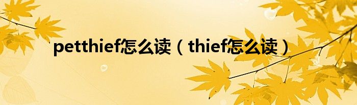 petthief怎么读（thief怎么读）