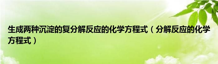 生成两种沉淀的复分解反应的化学方程式（分解反应的化学方程式）