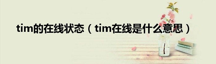 tim的在线状态（tim在线是什么意思）