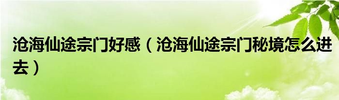 沧海仙途宗门好感（沧海仙途宗门秘境怎么进去）