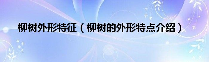 柳树外形特征（柳树的外形特点介绍）