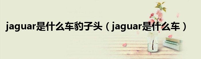 jaguar是什么车豹子头（jaguar是什么车）