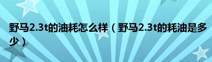 野马2.3t的油耗怎么样（野马2.3t的耗油是多少）