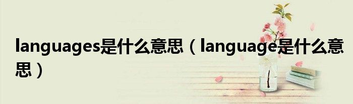 languages是什么意思（language是什么意思）