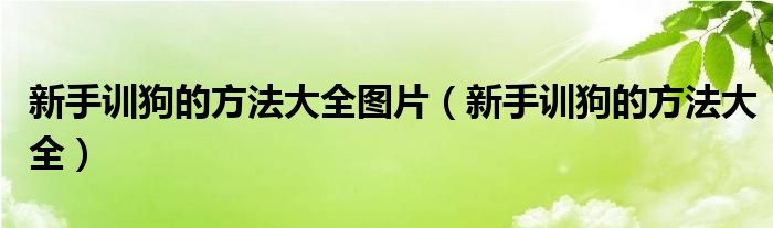 新手训狗的方法大全图片（新手训狗的方法大全）