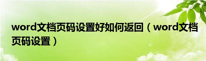 word文档页码设置好如何返回（word文档页码设置）