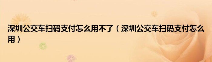 深圳公交车扫码支付怎么用不了（深圳公交车扫码支付怎么用）