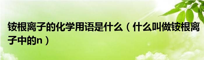 铵根离子的化学用语是什么（什么叫做铵根离子中的n）