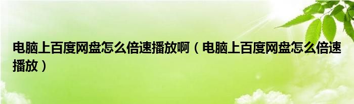 电脑上百度网盘怎么倍速播放啊（电脑上百度网盘怎么倍速播放）