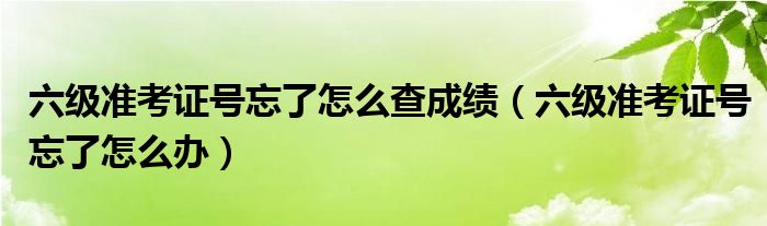 六级准考证号忘了怎么查成绩（六级准考证号忘了怎么办）