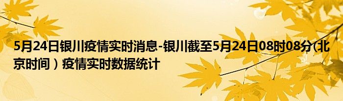 5月24日银川疫情实时消息-银川截至5月24日08时08分(北京时间）疫情实时数据统计