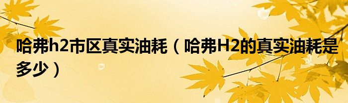 哈弗h2市区真实油耗（哈弗H2的真实油耗是多少）