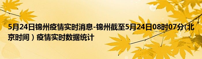 5月24日锦州疫情实时消息-锦州截至5月24日08时07分(北京时间）疫情实时数据统计