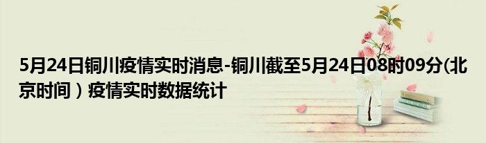 5月24日铜川疫情实时消息-铜川截至5月24日08时09分(北京时间）疫情实时数据统计