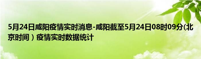 5月24日咸阳疫情实时消息-咸阳截至5月24日08时09分(北京时间）疫情实时数据统计