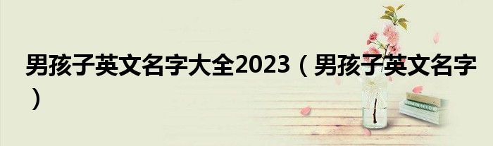 男孩子英文名字大全2023（男孩子英文名字）