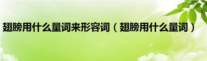 翅膀用什么量词来形容词（翅膀用什么量词）