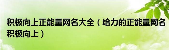 积极向上正能量网名大全（给力的正能量网名积极向上）