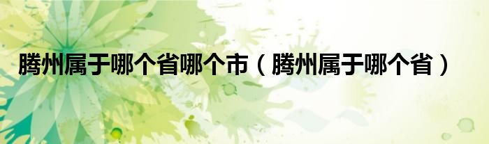 腾州属于哪个省哪个市（腾州属于哪个省）