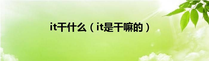 it干什么（it是干嘛的）