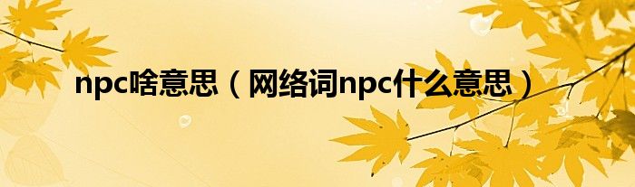 npc啥意思（网络词npc什么意思）