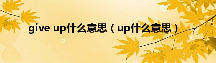 give up什么意思（up什么意思）