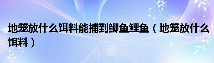 地笼放什么饵料能捕到鲫鱼鲤鱼（地笼放什么饵料）