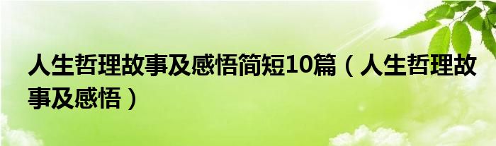 人生哲理故事及感悟简短10篇（人生哲理故事及感悟）