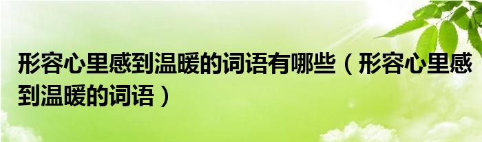 形容心里感到温暖的词语有哪些（形容心里感到温暖的词语）