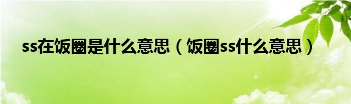 ss在饭圈是什么意思（饭圈ss什么意思）