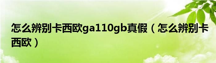 怎么辨别卡西欧ga110gb真假（怎么辨别卡西欧）