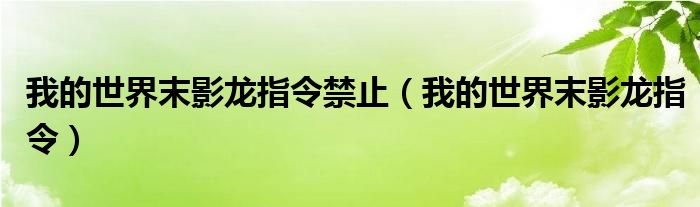 我的世界末影龙指令禁止（我的世界末影龙指令）