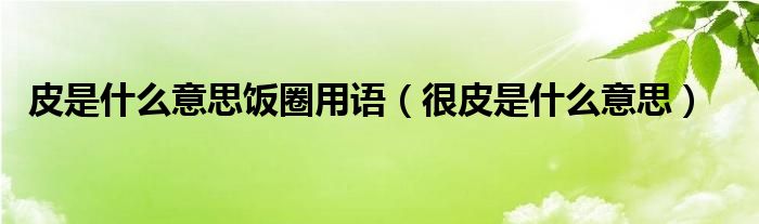 皮是什么意思饭圈用语（很皮是什么意思）