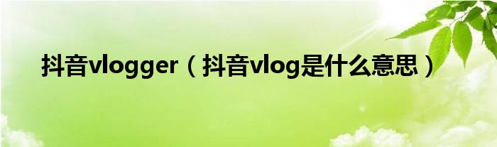 抖音vlogger（抖音vlog是什么意思）