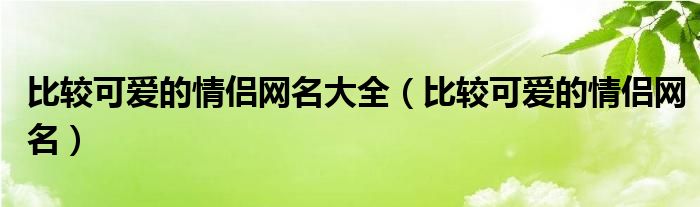 比较可爱的情侣网名大全（比较可爱的情侣网名）